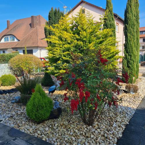 Rooftop Apartment komplett möbliert,direkt an der Haltestelle, nach Heidelberg,Mannheim ,Weinheim (,, Himmelsblick "Apartment komplett mobliert,direkt an der Haltestelle, nach Heidelberg,Mannheim ,We) in Hirschberg an der Bergstrasse