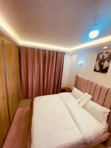 Modern Pink studio apartment in Westlands - image 3
