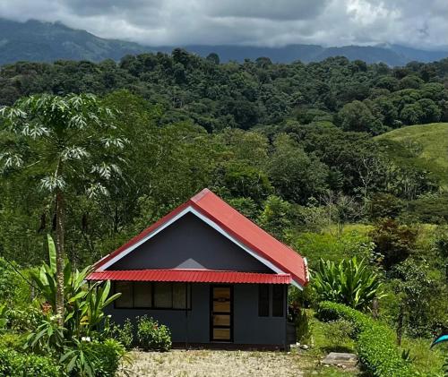 Casitas Naranjito in Naranjito