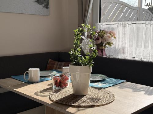 virtuve, Haus Ruhewinkel, Bungalow 1 in Alkersum