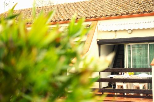 Appartement terrasse Endeavour Argeles sur mer La plage à pieds l'espagne à 30 mn (Appartement terrasse Endeavour Argeles sur mer La plage a pieds l'espagne a 30 mn) in 阿爾熱萊海濱