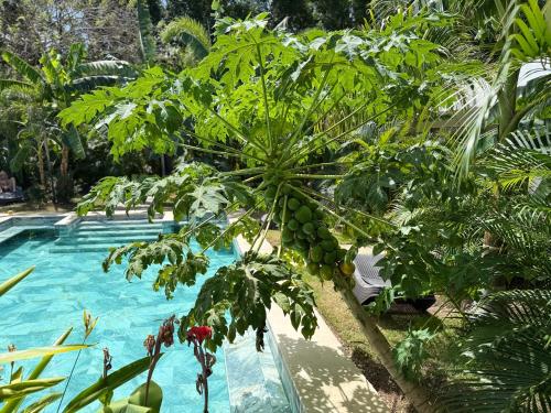 Hotel Good Life in Coco