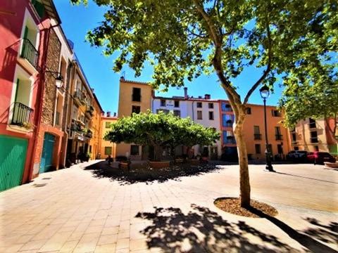Appartement terrasse Endeavour Argeles sur mer La plage à pieds l'espagne à 30 mn (Appartement terrasse Endeavour Argeles sur mer La plage a pieds l'espagne a 30 mn) in 阿爾熱萊海濱