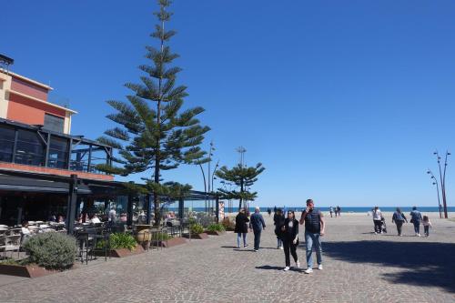 Appartement terrasse Endeavour Argeles sur mer La plage à pieds l'espagne à 30 mn (Appartement terrasse Endeavour Argeles sur mer La plage a pieds l'espagne a 30 mn) in 阿爾熱萊海濱