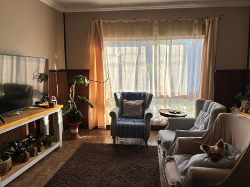 Lounge/area TV in comune, Bercy in Valdivia