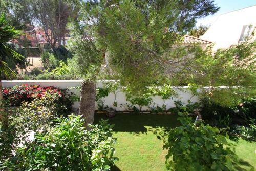 ARENDA Villa Amelie en Pino Alto - image 3