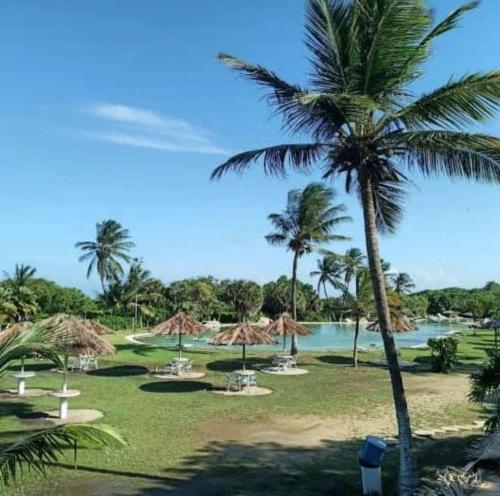 Surrounding environment, Apto-Tucacas in Tucacas