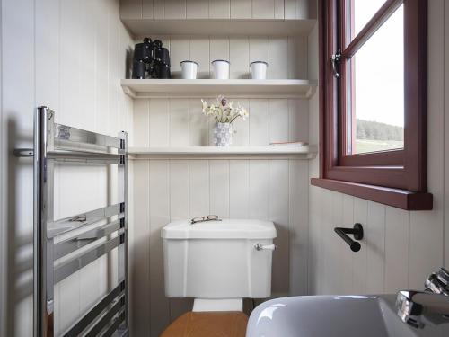 Душ, Lapwing Shepherds Hut - Uk7631 in Боллінглуй