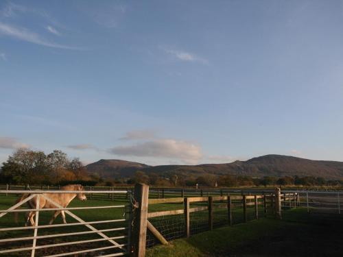Viesnīcas āriene, Byre Cottagesnr Stokesley in Carlton (North Yorkshire)