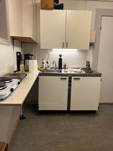 Whaletours Center Apartment in ลูลิสซัท