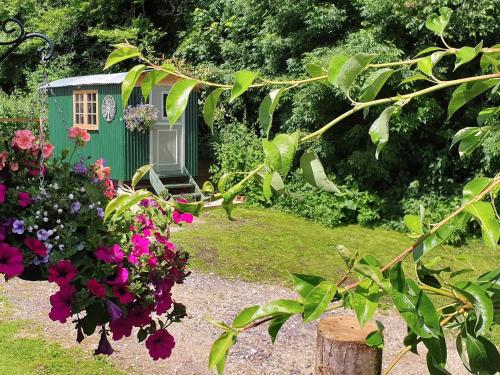 外觀, Dorset Alpaca Shepherd's Hut in 弗蘭普頓