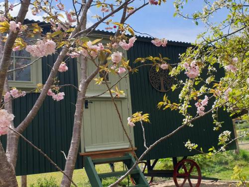 外觀, Dorset Alpaca Shepherd's Hut in 弗蘭普頓