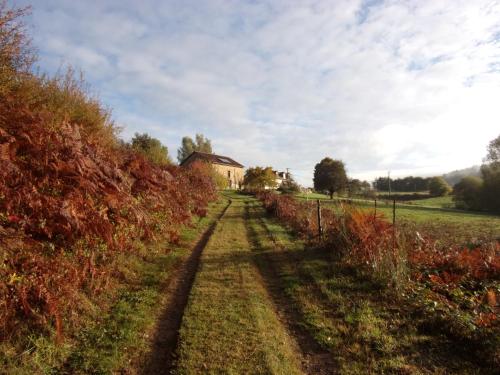 Chouette France