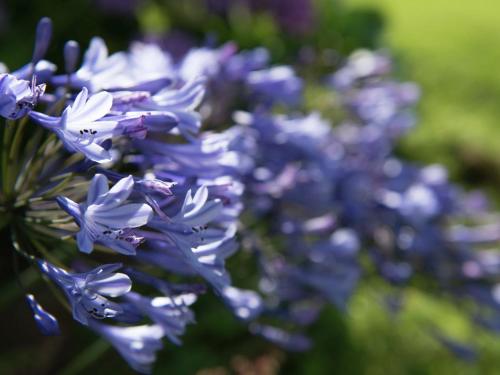  Entre Sources Et Bois in Spa