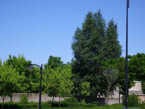 Hotel Nobis Salamanca - image 5