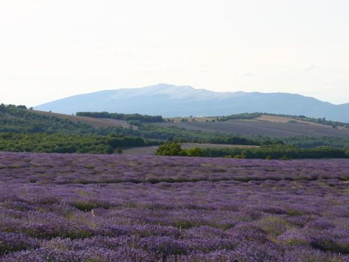 Modern Chalet near the Forest in Rochegude gîte à louer Lagarde-Paréol
