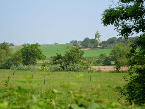 Rural g te surrounded by fruit trees