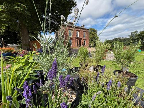 Wigtown House in Wigtown
