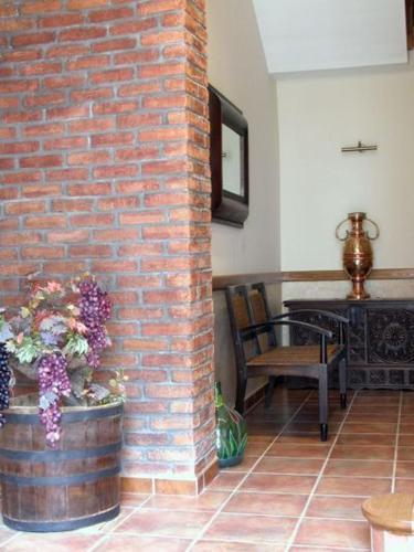 Hostal la Cepa - image 4