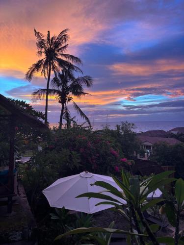 Lombok Coconut Hotel 3