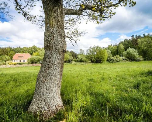 Viesnīcas āriene, Historic Country House In Secluded Nature in Großwoltersdorf