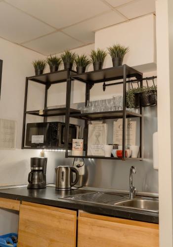 Olé Backpackers Hostel (Ole Backpackers Hostel) in 阿利坎特市中心