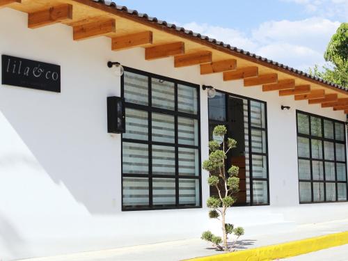 hotel boutique lila&co in Tonatico, Mexico