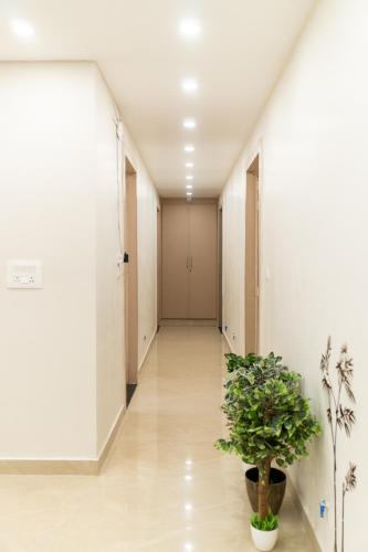 Cherrywood at Rajpur Road by Zenvana in Kishanpur