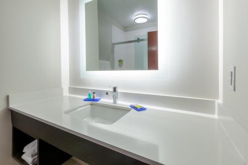 Holiday Inn Express Hotel & Suites Woodhaven an IHG Hotel - image 37
