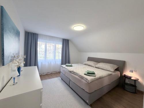 Trewia 8 - Modern Apartment Vaduz Center - free Parking in Vaduz