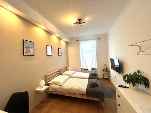 Studio-Apartment in zentraler Lage – khách sạn tại Eggenberg