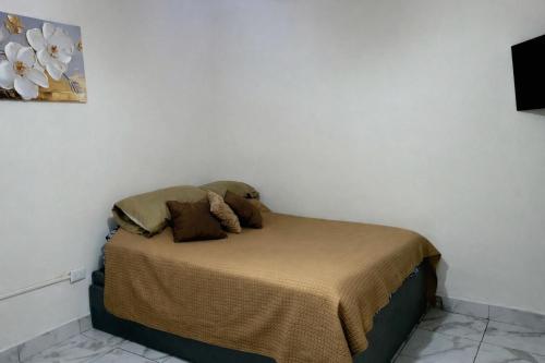 Departamento económico Mitras Centro