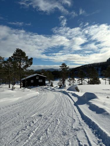Cosy cabin between lake and mountain in Treungen