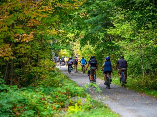 Easter Sale 1BR Big Kitchen by River and Trails in Bridgewater (Új-Skócia)