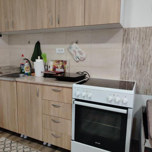 Apartman Raj in Berkovac
