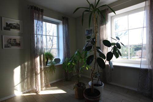 Virulase Holiday Home in Toila