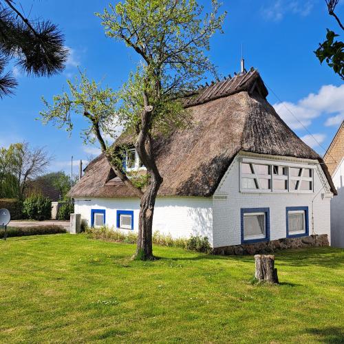 Viesnīcas āriene, Ferienhaus Winne-Hus Winnemark in Winnemark