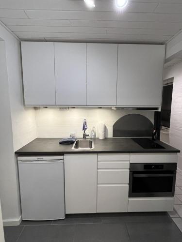 Cozy apartment with private terrace close to downtown in Thisted