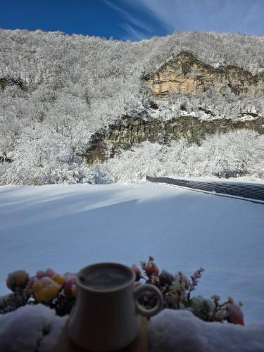 Kinchkha cottage Fshuqebi - კინჩხის კოტეჯი ფშუქები in Kveda Kinchkha