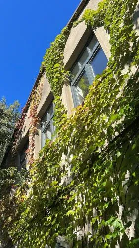 Alte Büdnerei - "Gartenappartement" photo 2