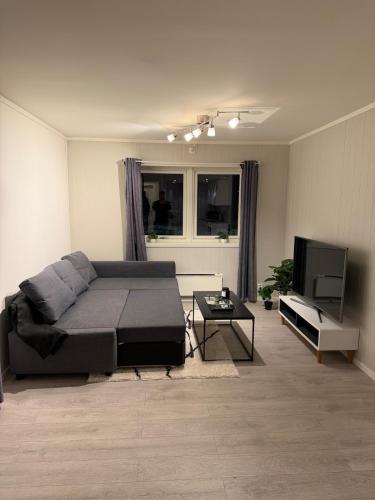 Modern apartment centrally located in Kongsvinger in Kongsvinger