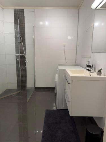 Modern apartment centrally located in Kongsvinger in Kongsvinger