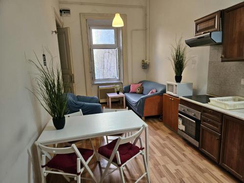 Vintage Heaven Oasis Hostel 3