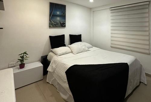 Habitación norte buena vista