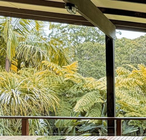Coffs Coast Mountain Retreat - House in Nana Glen