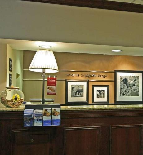 Hampton Inn & Suites Pigeon Forge On The Parkway - image 38