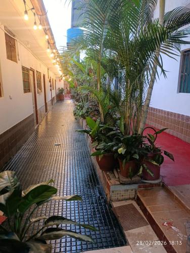 Refugio Amazonico