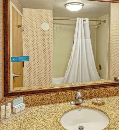 Hampton Inn & Suites Pigeon Forge On The Parkway - image 33