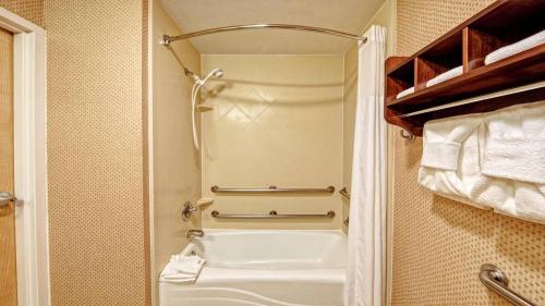 Hampton Inn & Suites Pigeon Forge On The Parkway - image 29