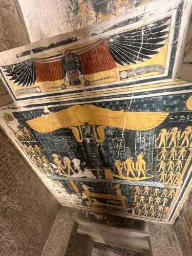 The King Tut - image 4